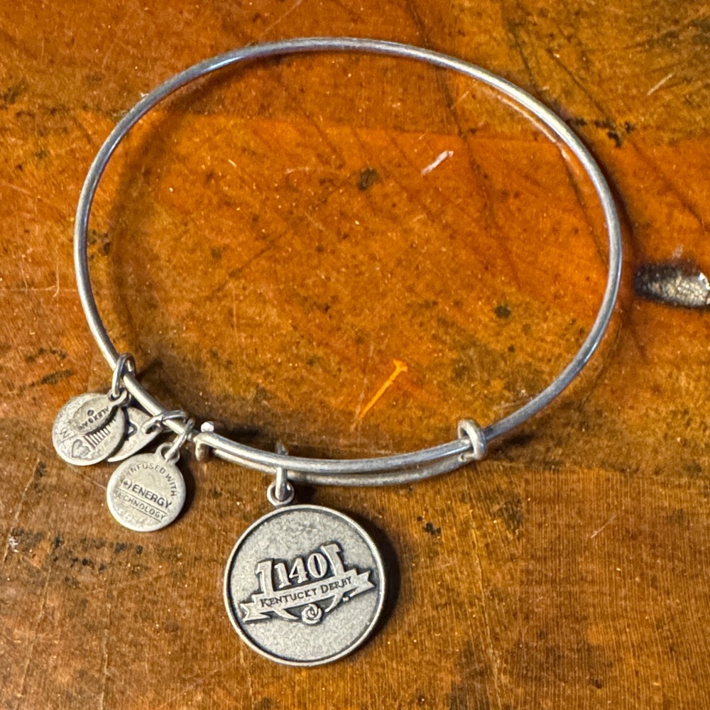 Alex and Ani Silver Charm Bracelet (3)